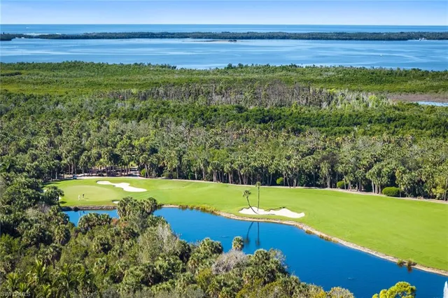 a view of a yard with an outdoor space