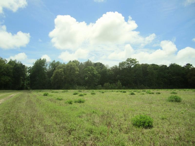 3 Plow Ground Road Johns Island, SC 29455 - Photo 1 of 8 009 (800x600) (2)