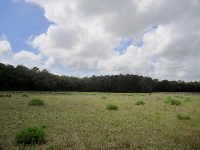 3 Plow Ground Road Johns Island, SC 29455 - Photo 5 of 8 005 (800x600) (640x480)