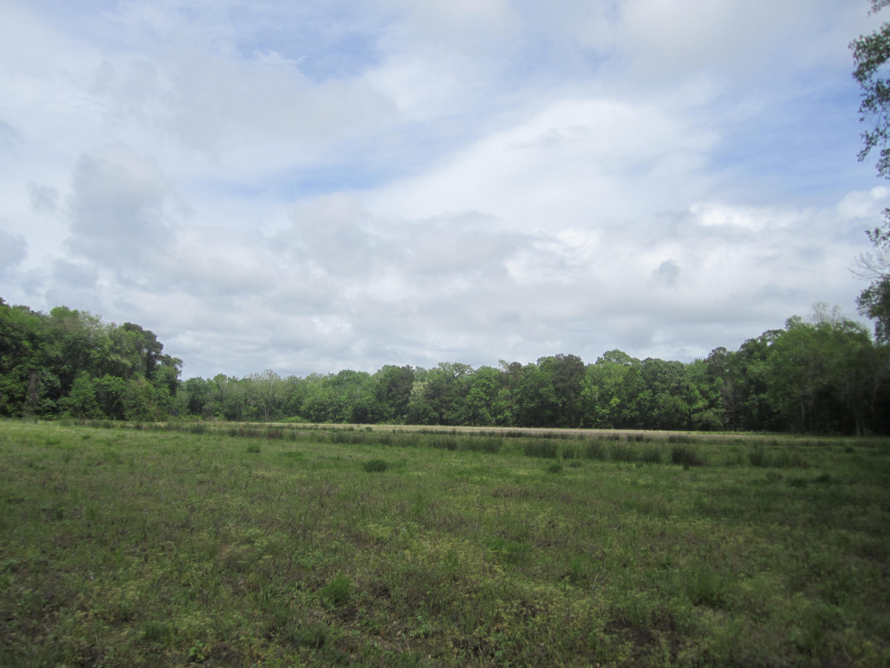 3 Plow Ground Road Johns Island, SC 29455 - Photo 6 of 8 010
