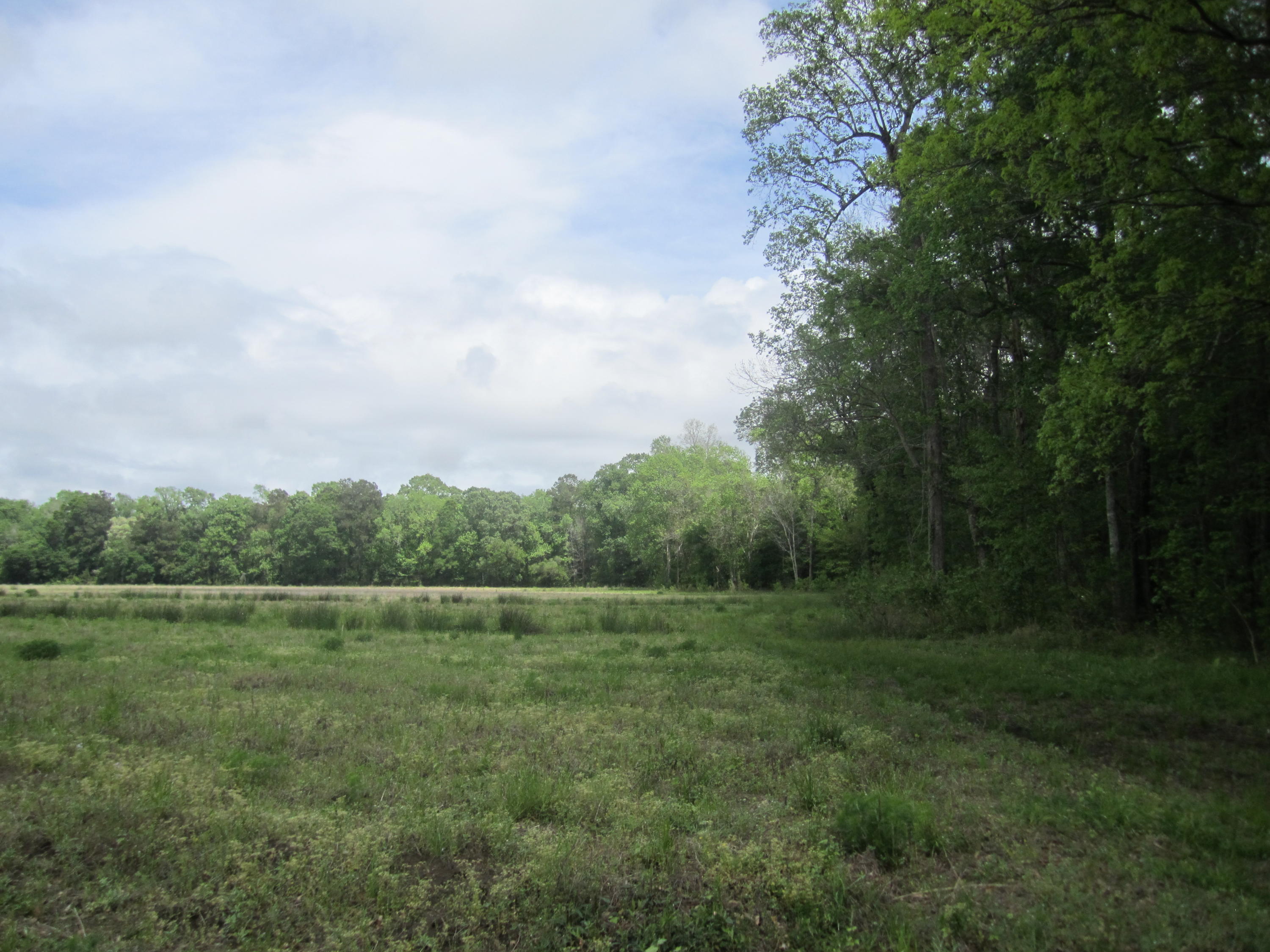 3 Plow Ground Road Johns Island, SC 29455 - Photo 7 of 8 012