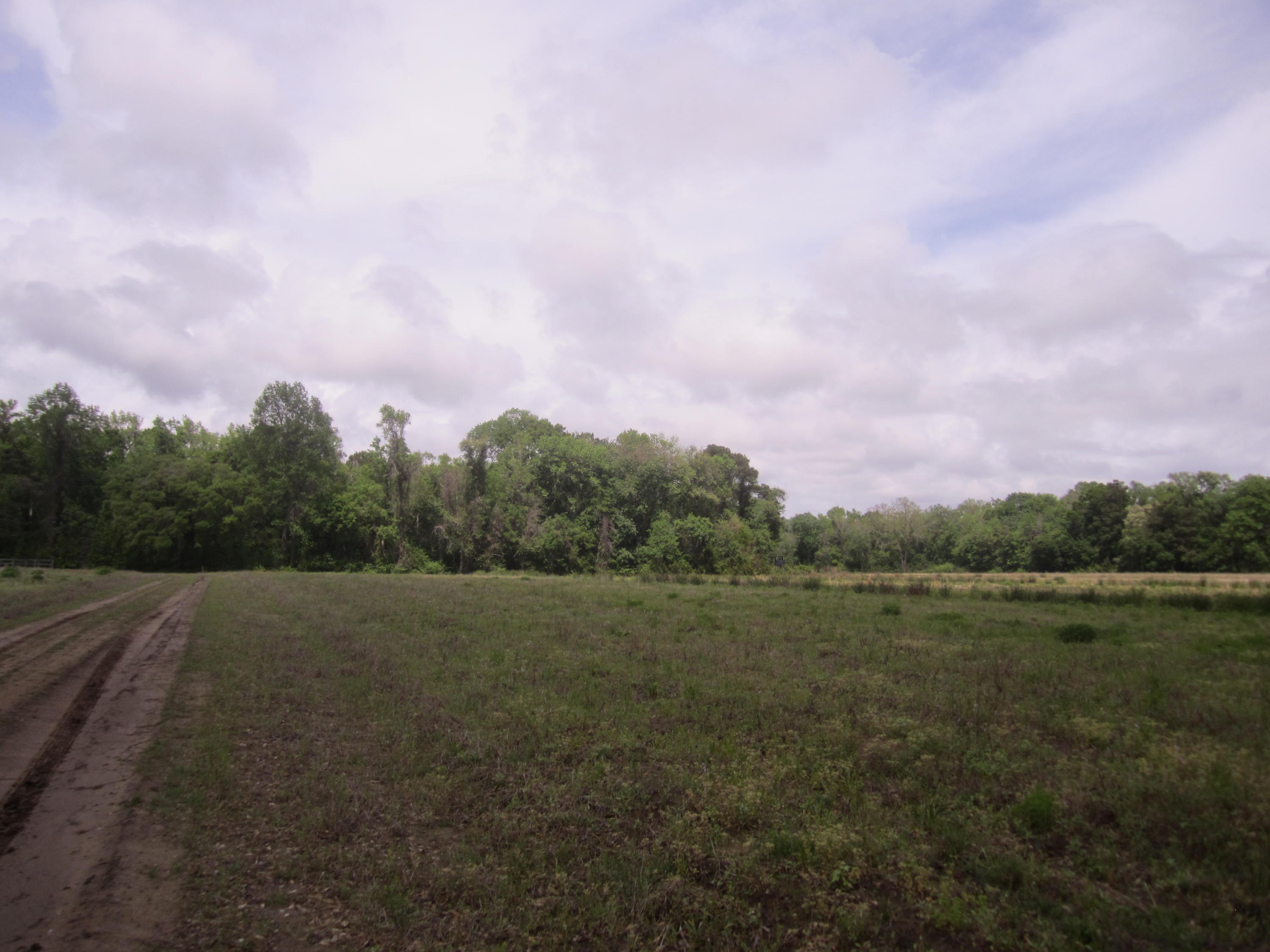 3 Plow Ground Road Johns Island, SC 29455 - Photo 8 of 8 015