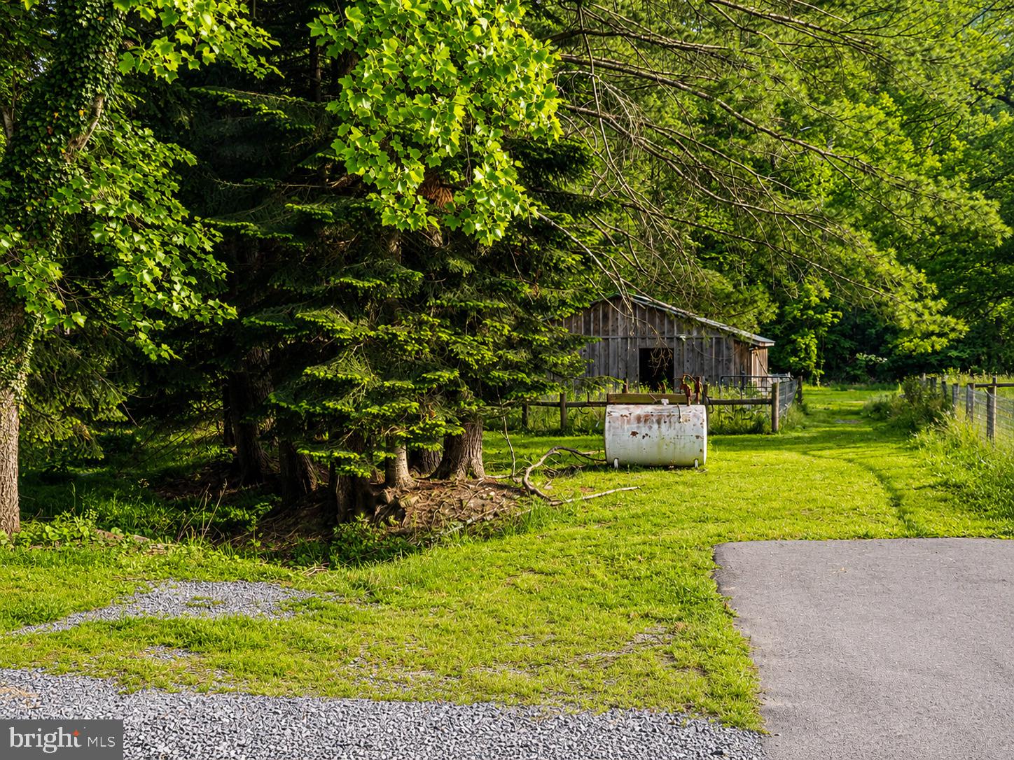 1009 1st Fork Road Jersey Shore, PA 17740 - Photo 73 of 116