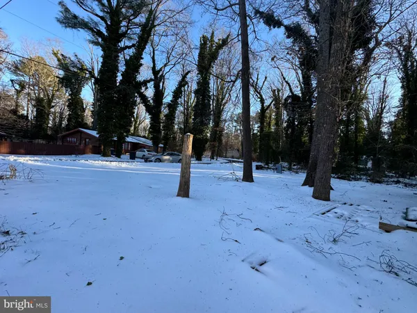 a view of road with trees