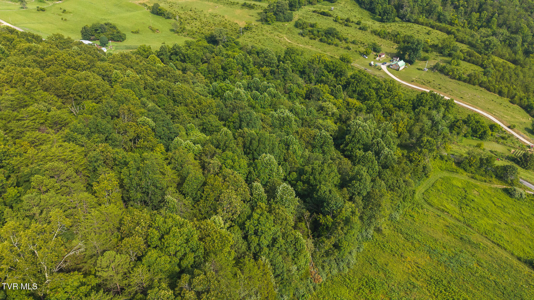 0 Gravely Valley Road Eidson, TN 37731 - Photo 2 of 36 DJI_20250716171208_0755_D