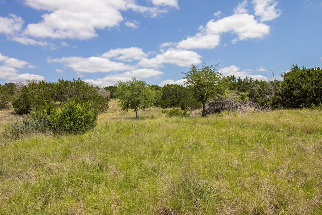 0 L And M Ranch Junction Junction, TX 76849 - Photo 5 of 27