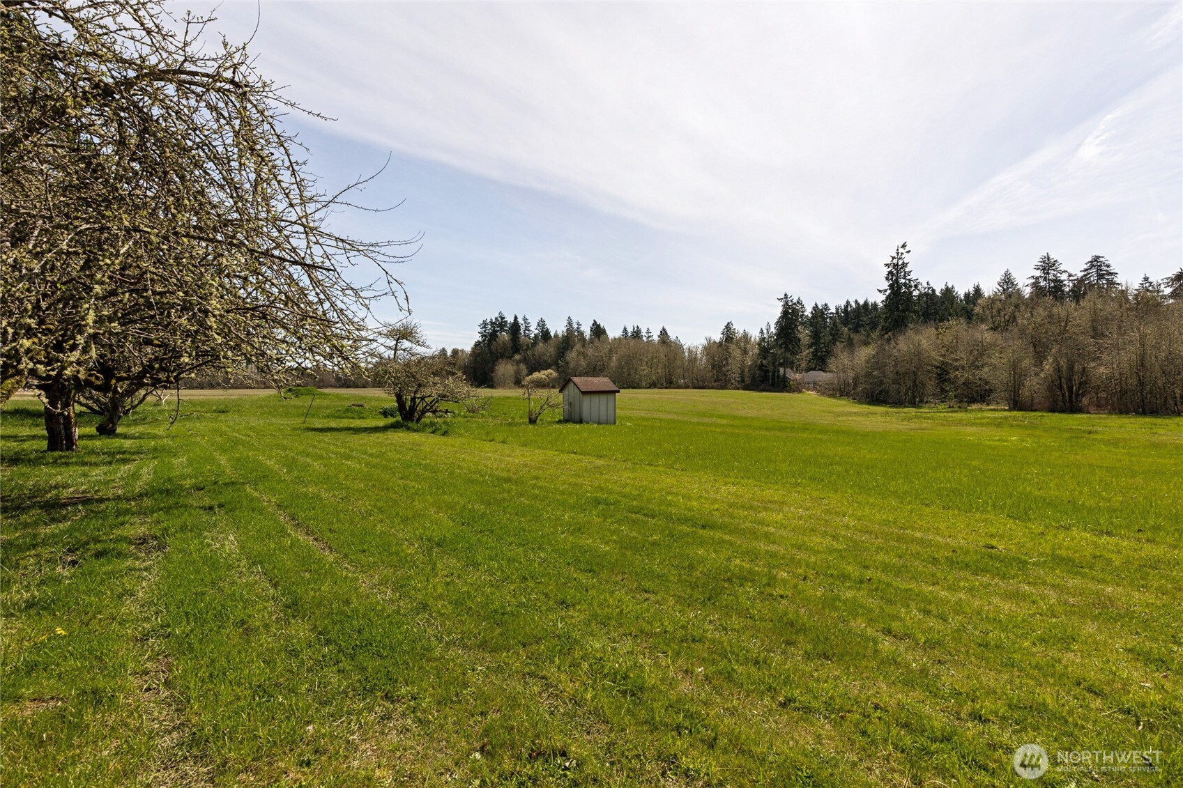 4924 Lemon Road Northeast Olympia, WA 98506 - Photo 23 of 24 Gallery Image 23