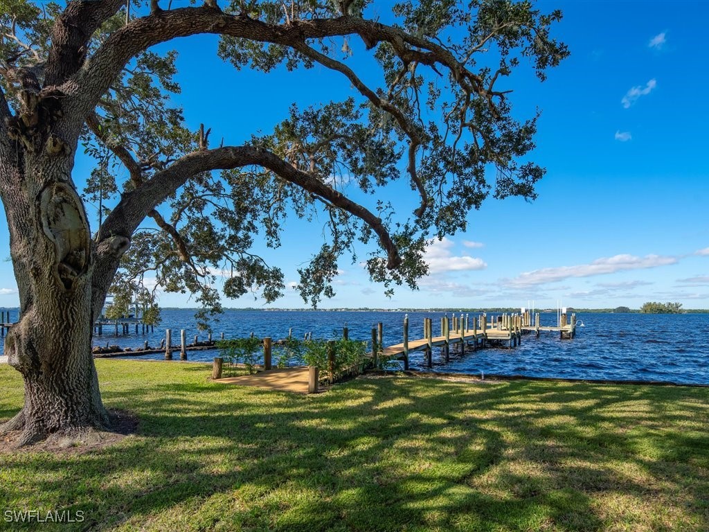 101 Fairview Avenue Fort Myers, FL 33905 - Photo 34 of 34 a view of a swimming pool with a yard and a large tree