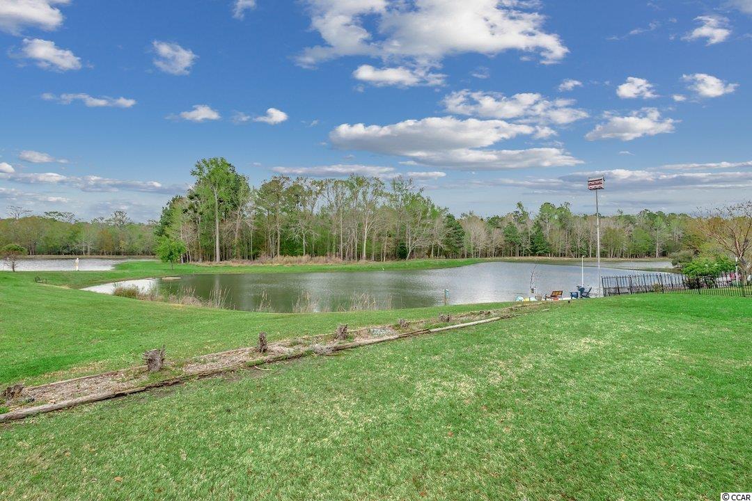 1201 Pine Ridge Street Conway, SC 29527 - Photo 37 of 39 Gallery Image 37