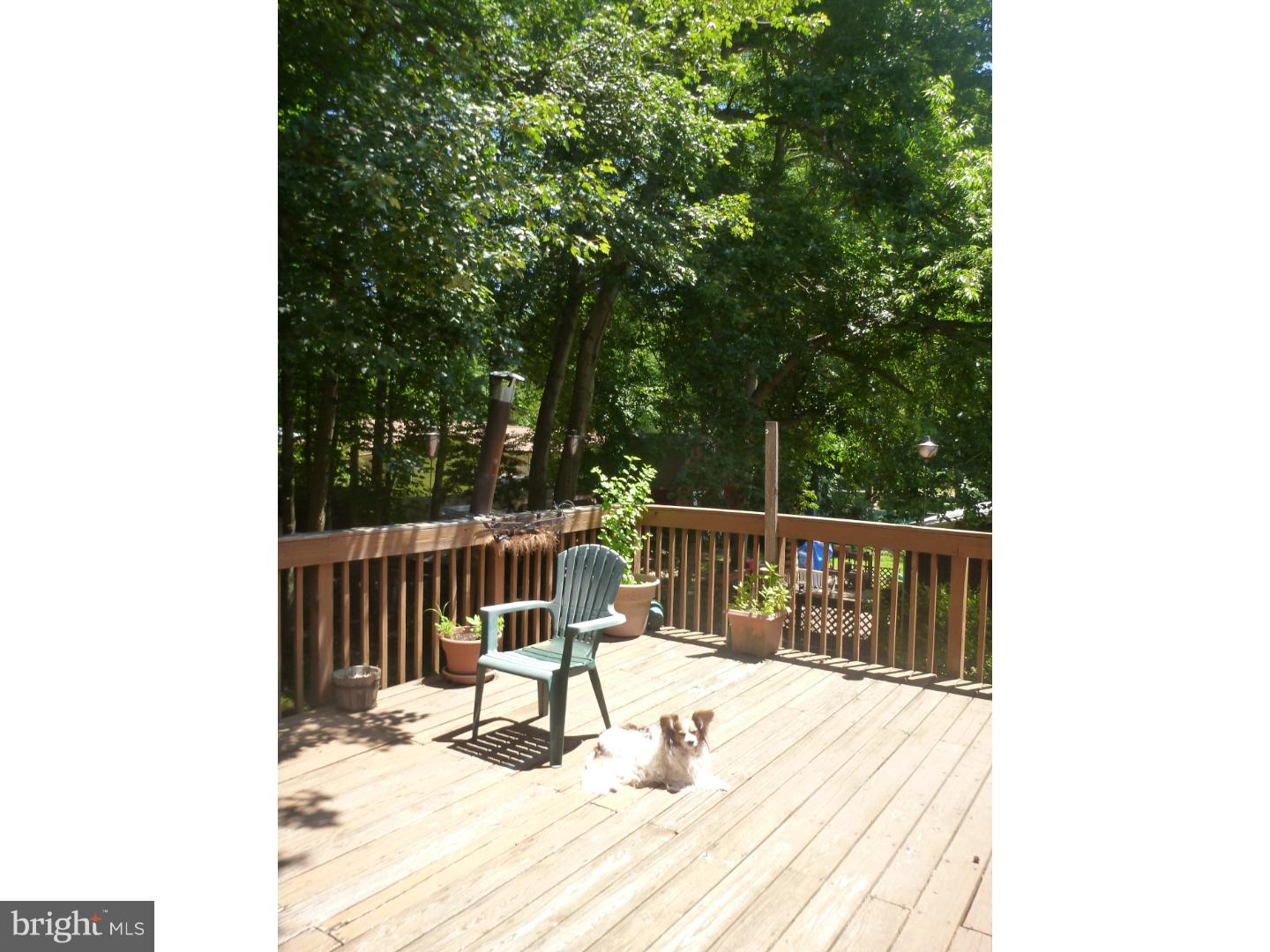 54 Tarnsfield Road Westampton, NJ 08060 - Photo 7 of 25