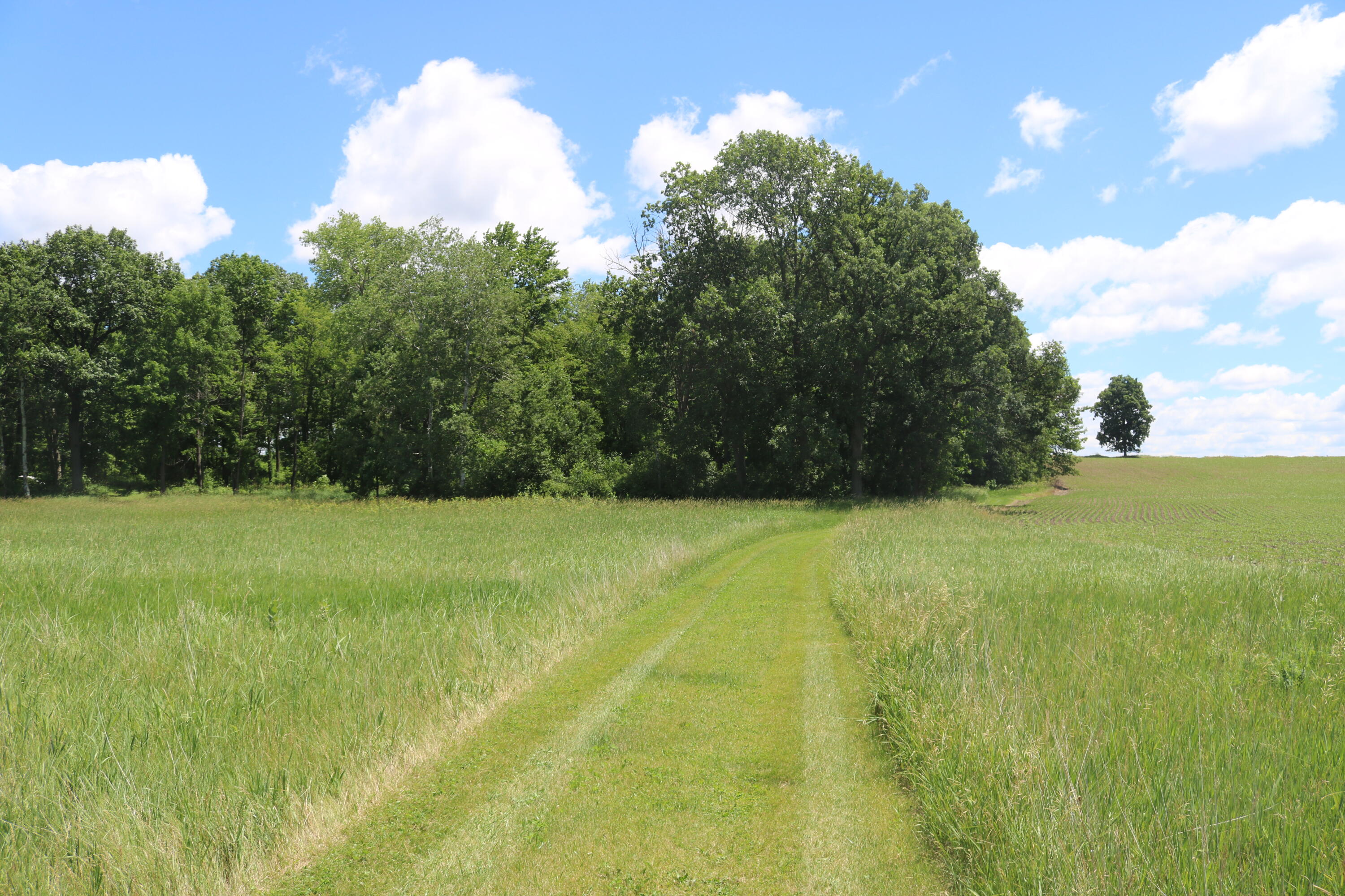 5 5 Mile Road Watertown, WI 53098 - Photo 13 of 17 IMG_1579