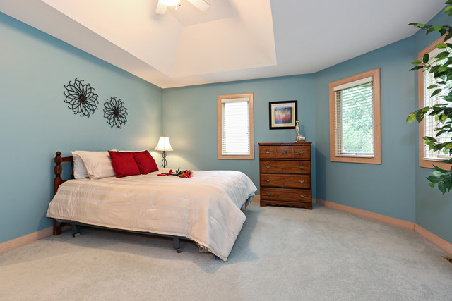 1905 Plainfield Road, Unit C Downers Grove, IL 60516 - Photo 12 of 20 a bedroom with a bed and a window