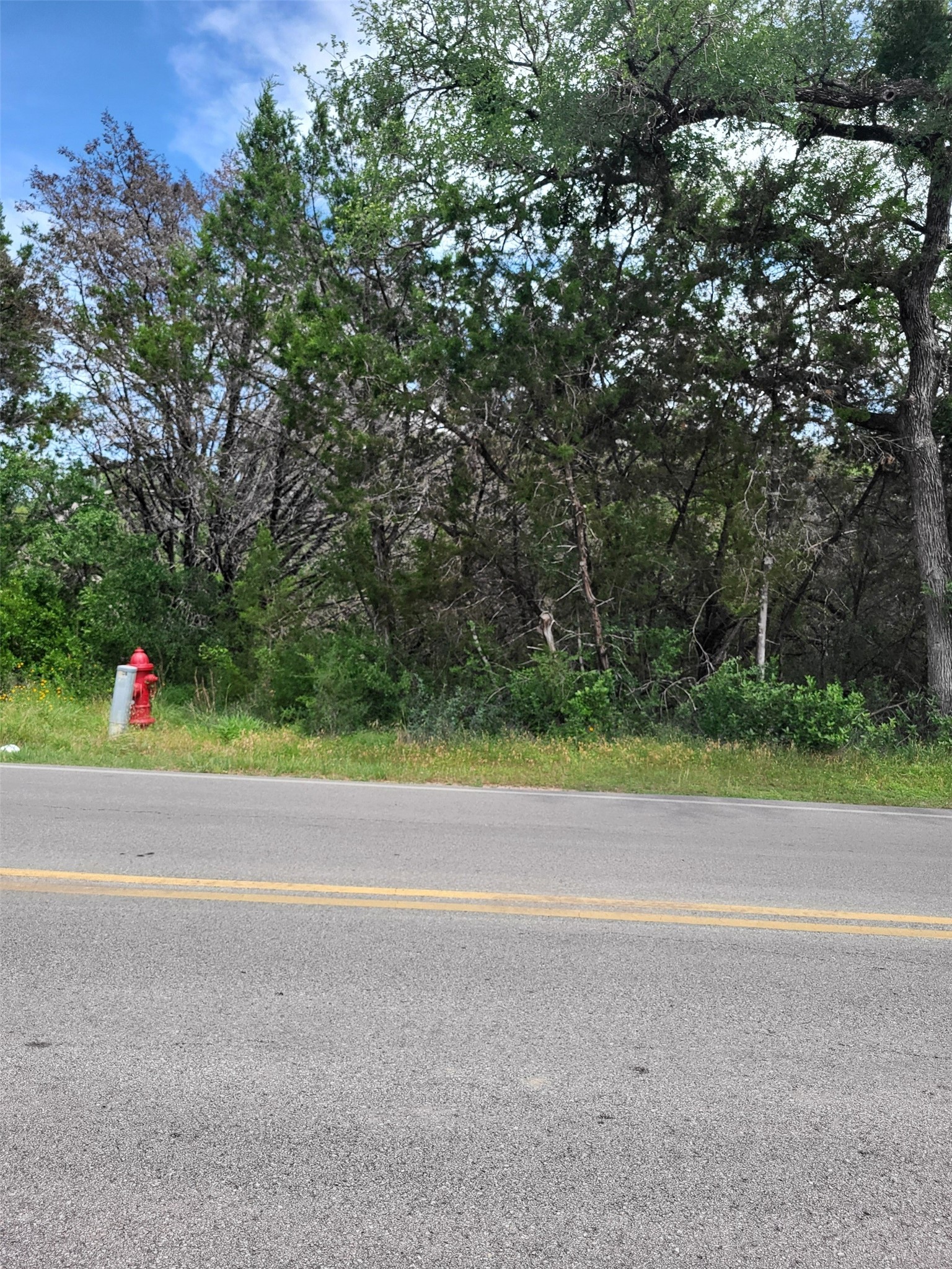 7101 Bar K Ranch Road Leander, TX 78645 - Photo 4 of 5