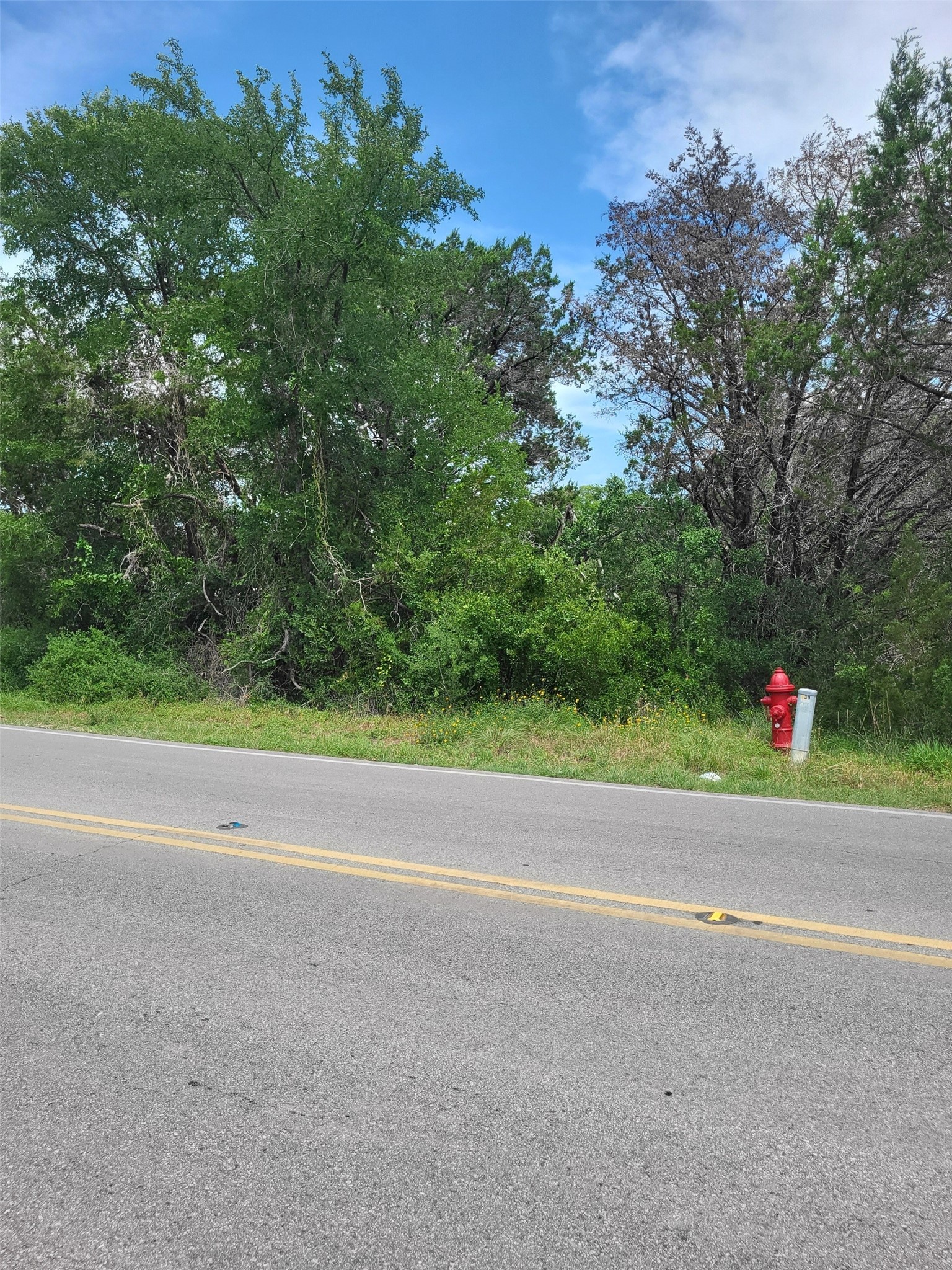 7101 Bar K Ranch Road Leander, TX 78645 - Photo 5 of 5