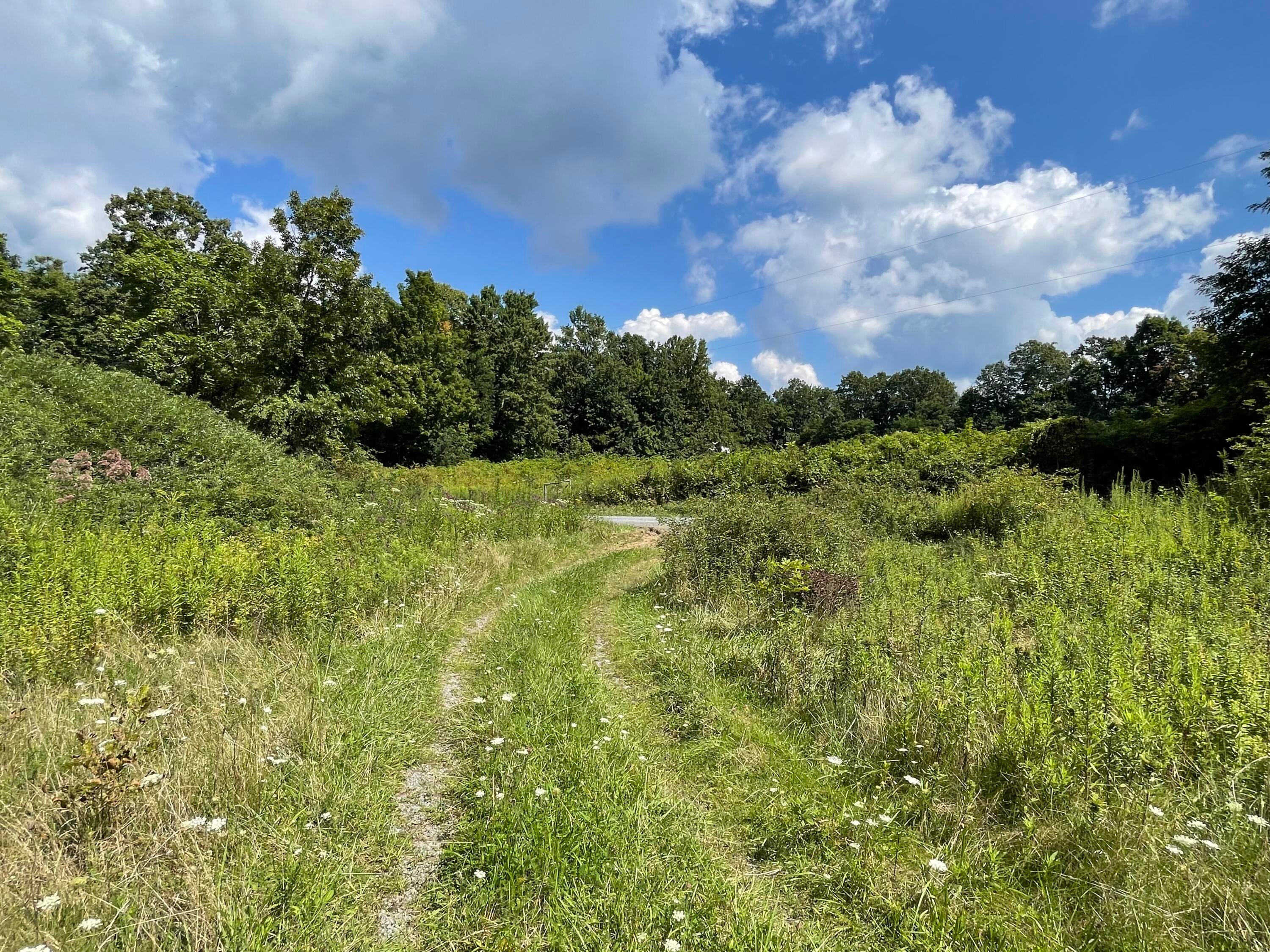 Ward Bench Road Sandstone, WV 25985 - Photo 63 of 92 Gallery Image 63