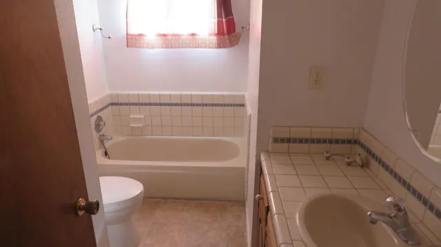 a bathroom with a toilet and a bathtub