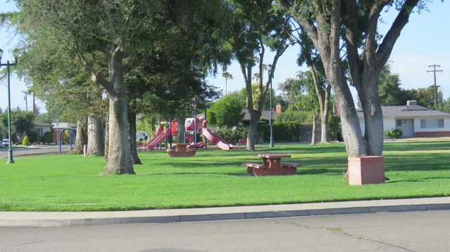 a view of a park with large trees