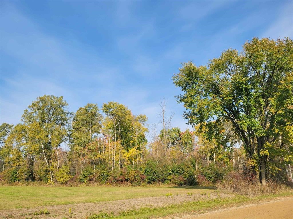 3996 Martin Road Beaverton, MI 48612 - Photo 34 of 35