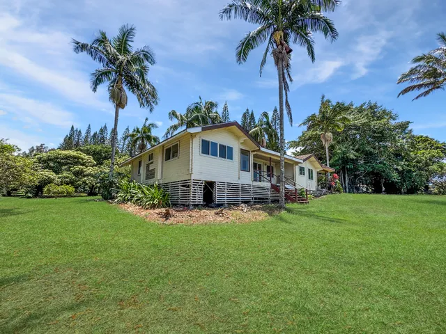 a view of a palm trees in front of a house