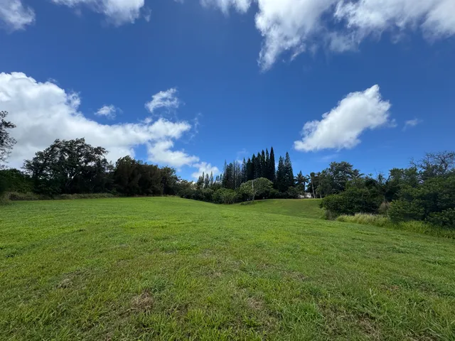 a view of a field of grass and trees