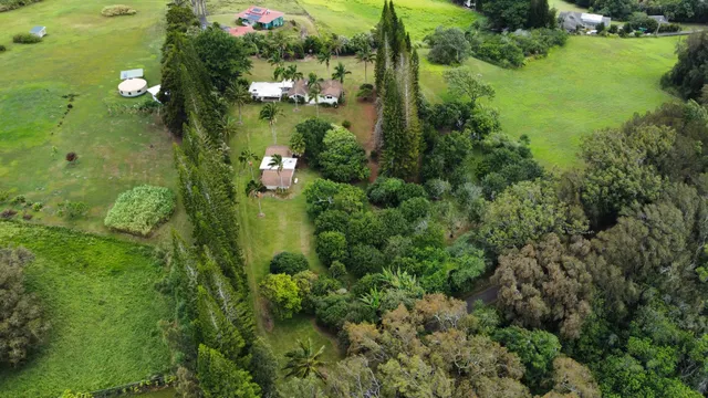a view of a grassy field with trees
