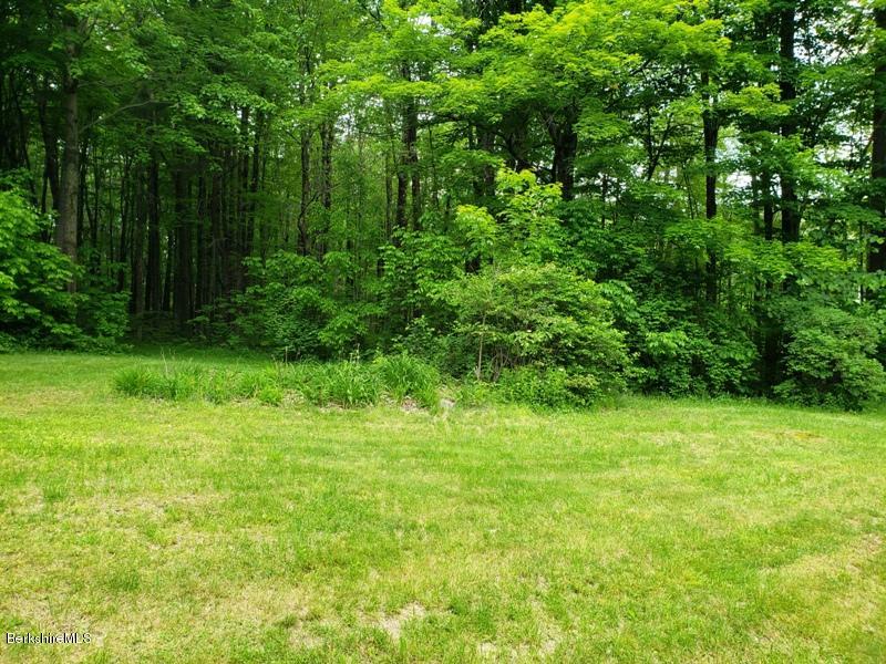 143 Sandisfield Road Monterey, MA 01245 - Photo 5 of 16 a view of a garden