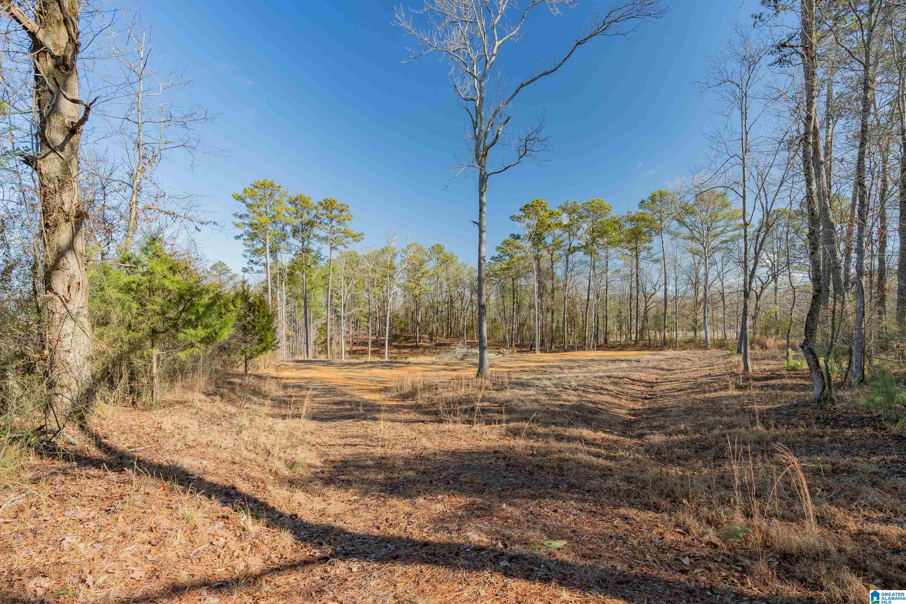 510 Cobb Road, Unit 1 Oxford, AL 36203 - Photo 16 of 22