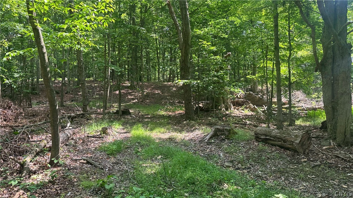 137 Windham Road Smithville, NY 13778 - Photo 19 of 20