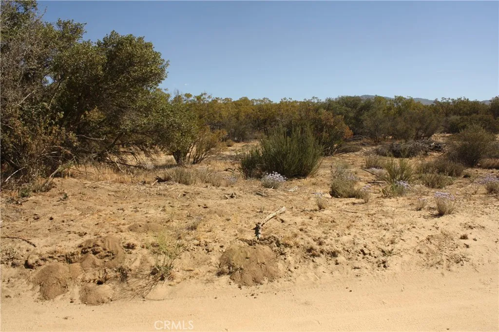 0 Pony Anza, CA 92539 - Photo 11 of 23