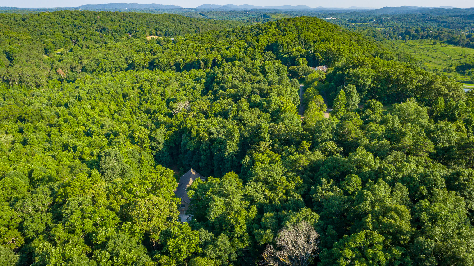 98 Etowah Ridge Ringgold, GA 30736 - Photo 122 of 124 98 Etowah Ridge HD-141