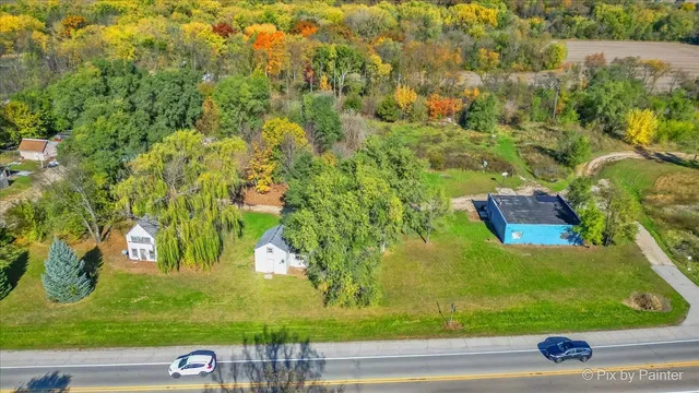 a view of a garden with plants