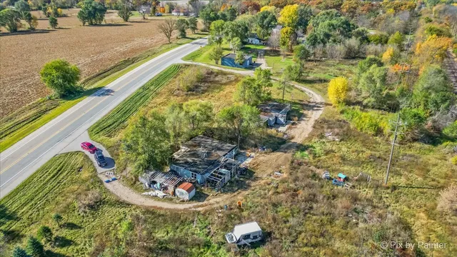 a view of a yard with plants