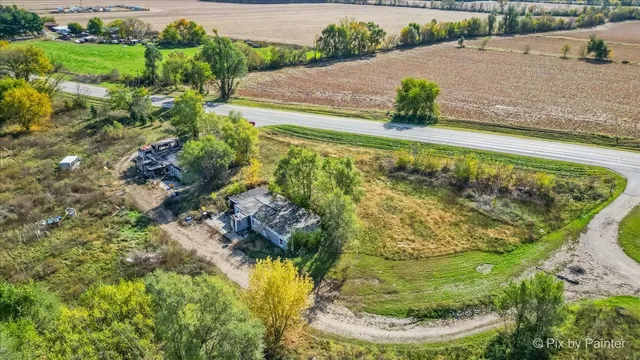a view of a garden with plants