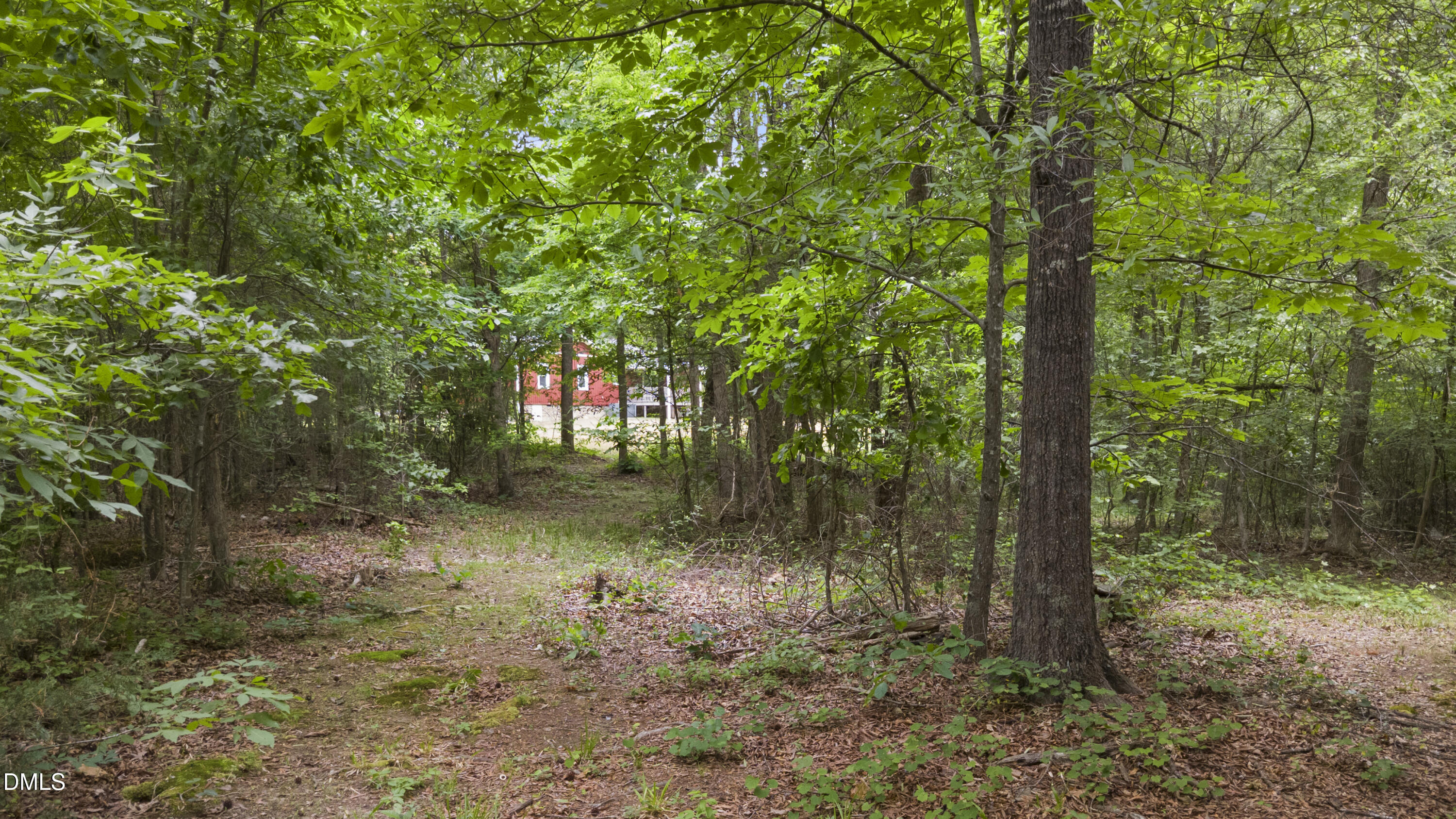 2168 Lakewood Falls Road Goldston, NC 27252 - Photo 29 of 30 28_2168_lakewood_trail_3
