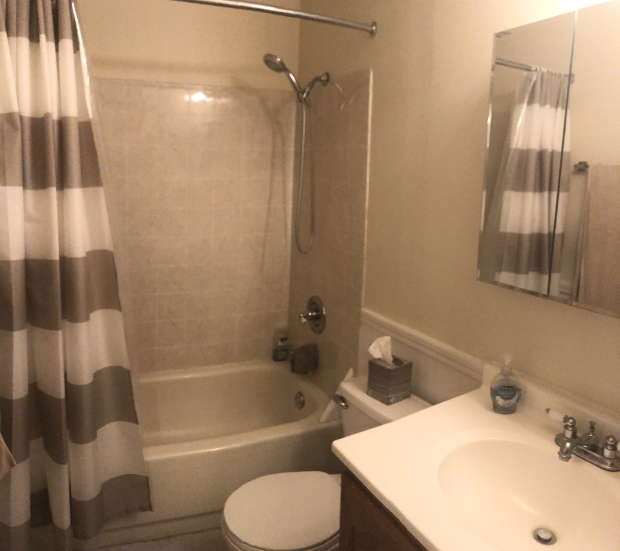 192 North Schmidt Road Bolingbrook, IL 60440 - Photo 10 of 11