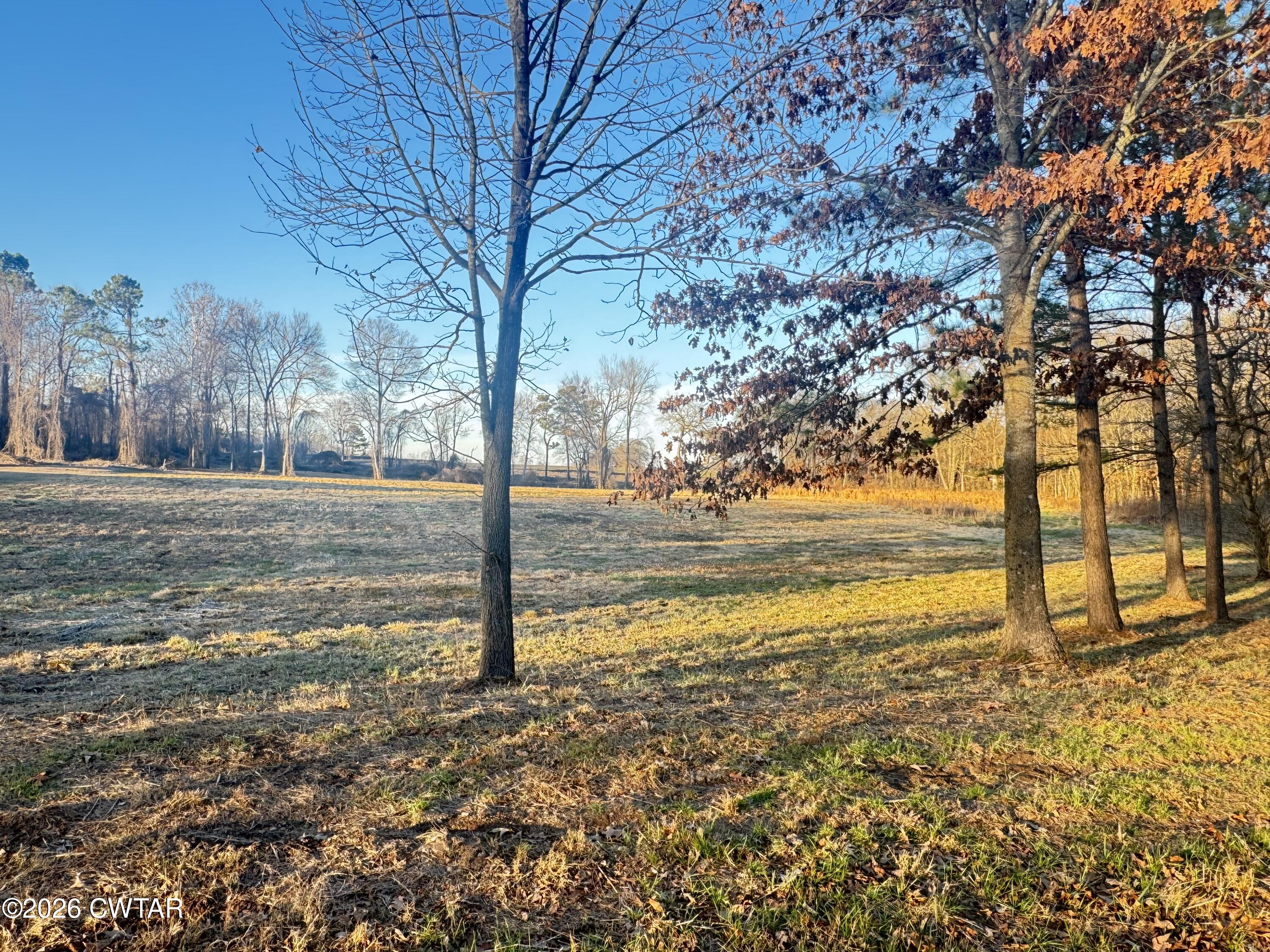 a view of ocean view with large trees