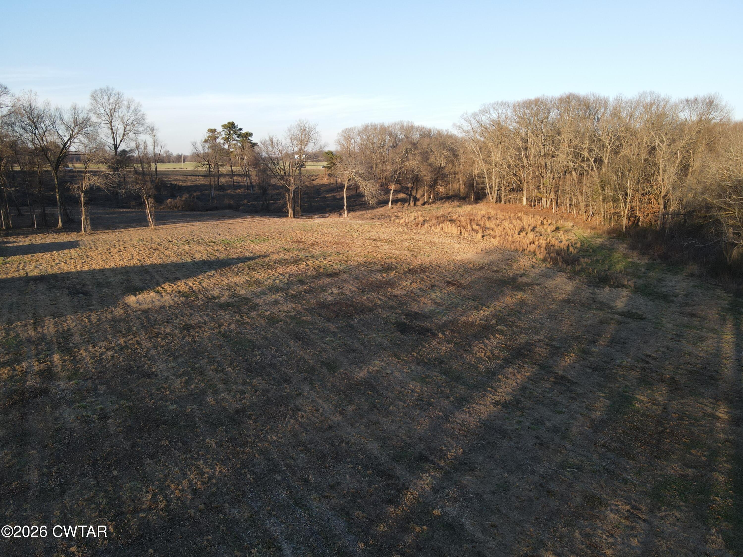 325 Upper Browns Church Road Jackson, TN 38305 - Photo 5 of 10 a view of outdoor space with mountain view