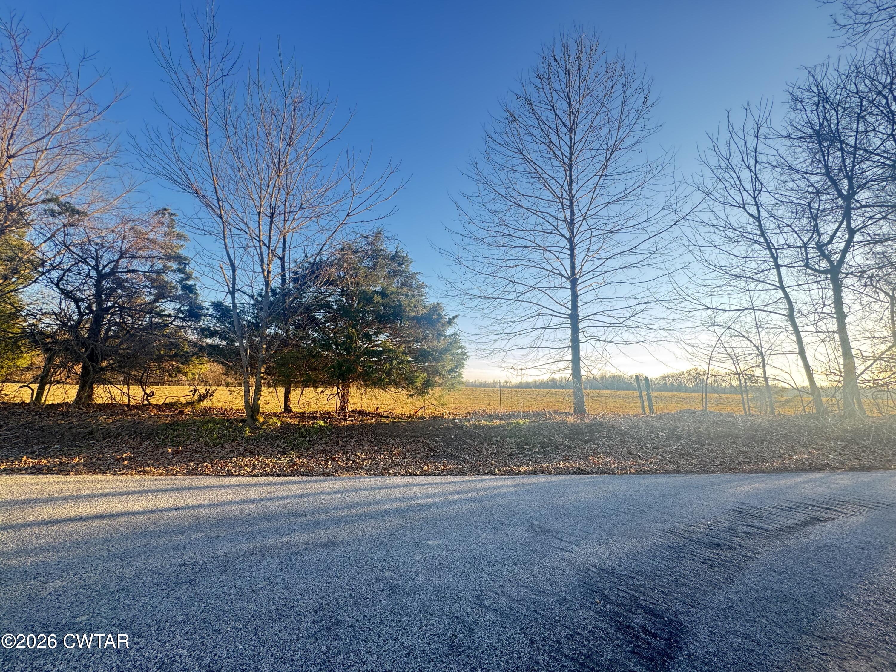 325 Upper Browns Church Road Jackson, TN 38305 - Photo 7 of 10 a view of large trees with an empty space
