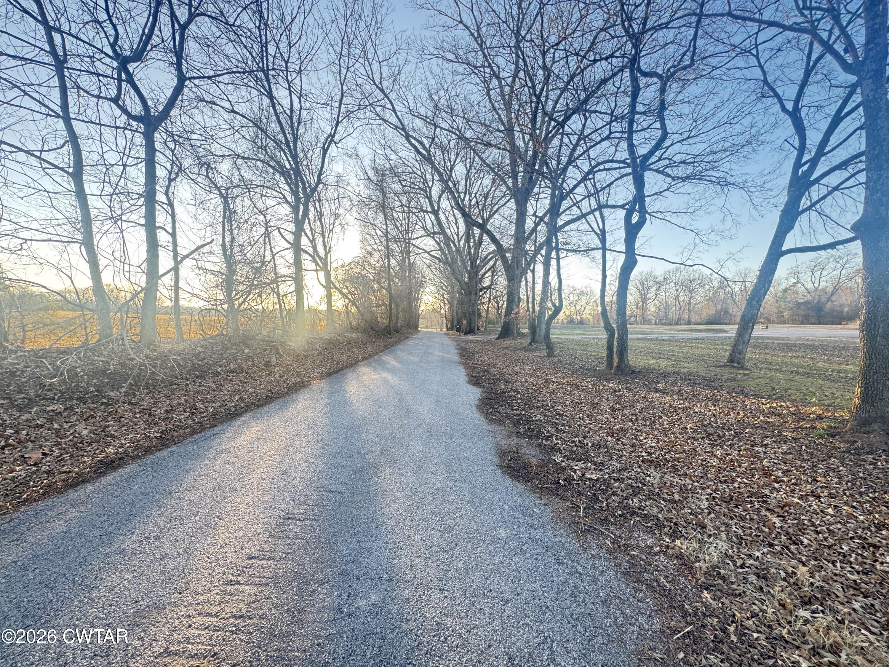 325 Upper Browns Church Road Jackson, TN 38305 - Photo 8 of 10 a view of empty room with tree s