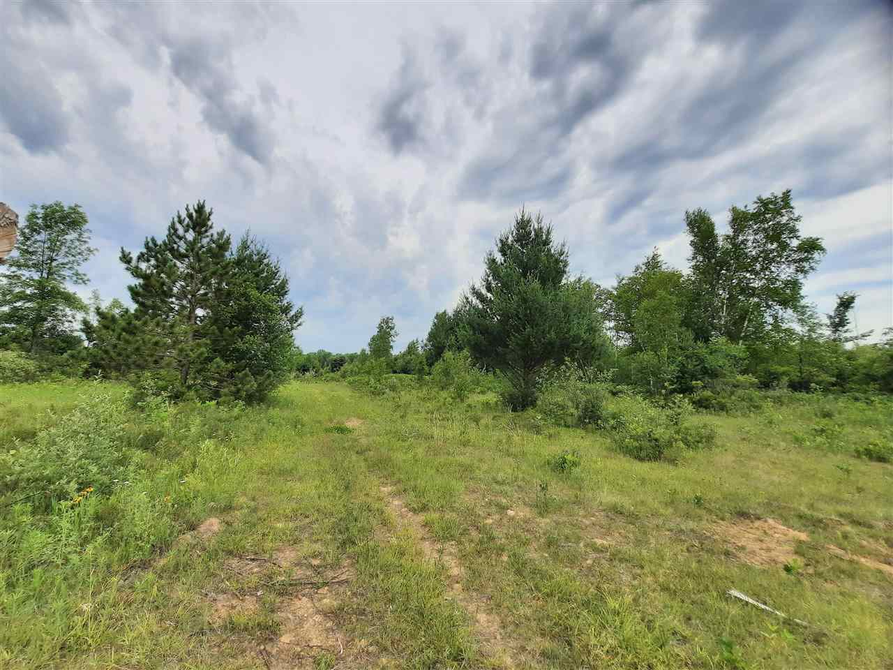 1650 Secord Dam Road Gladwin, MI 48624 - Photo 8 of 38