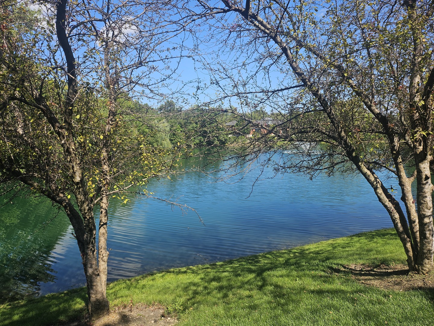 447 Prestwick Lane Wheeling, IL 60090 - Photo 9 of 17 a backyard of a house with lots of green space