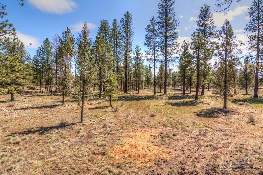 67550 Harrington Loop Road Bend, OR 97703 - Photo 24 of 34 Additional Photo