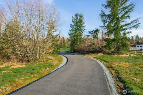 a view of a yard with plants