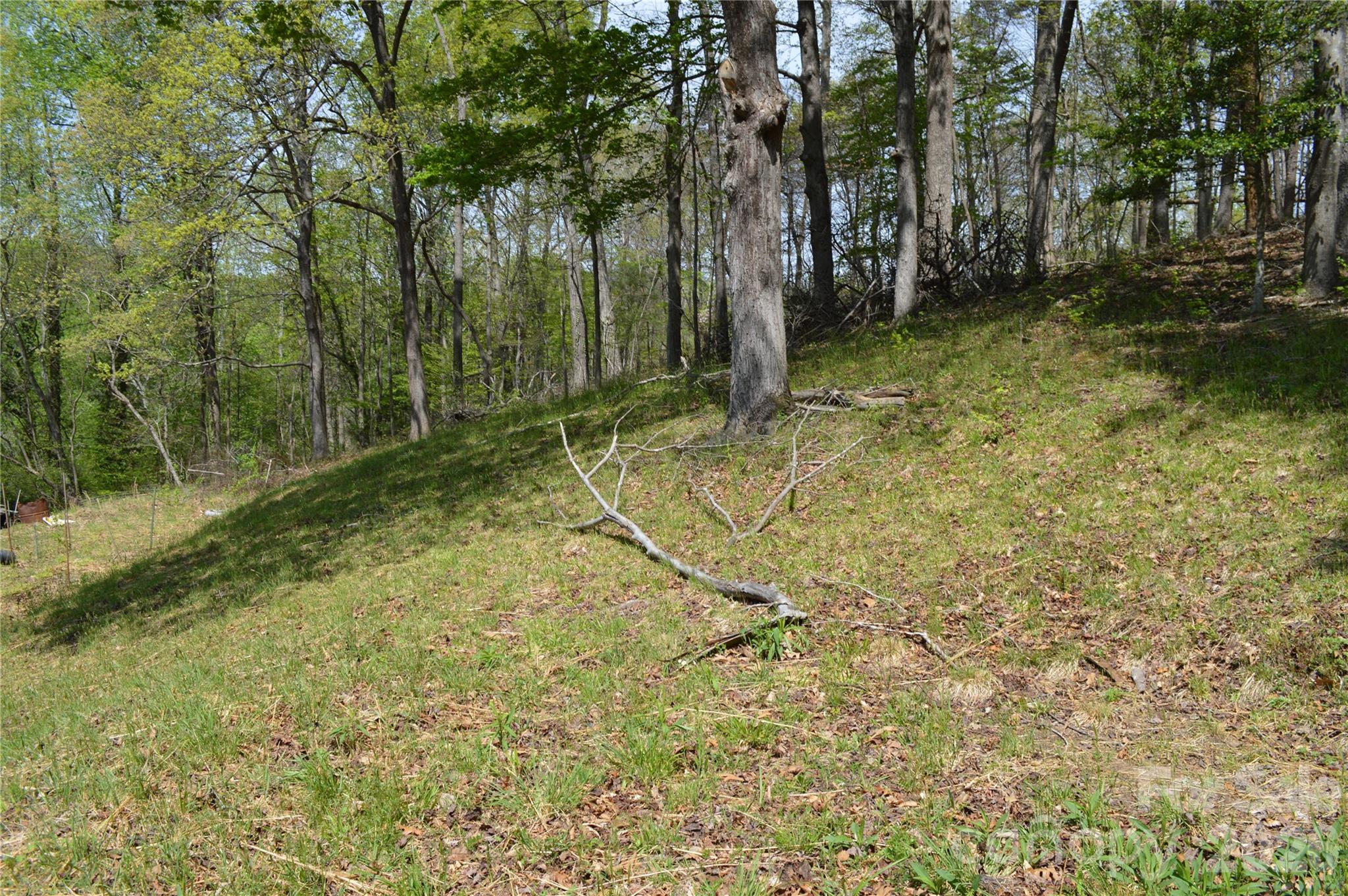 191 Flat Rock Hill Road Tryon, NC 28782 - Photo 9 of 32