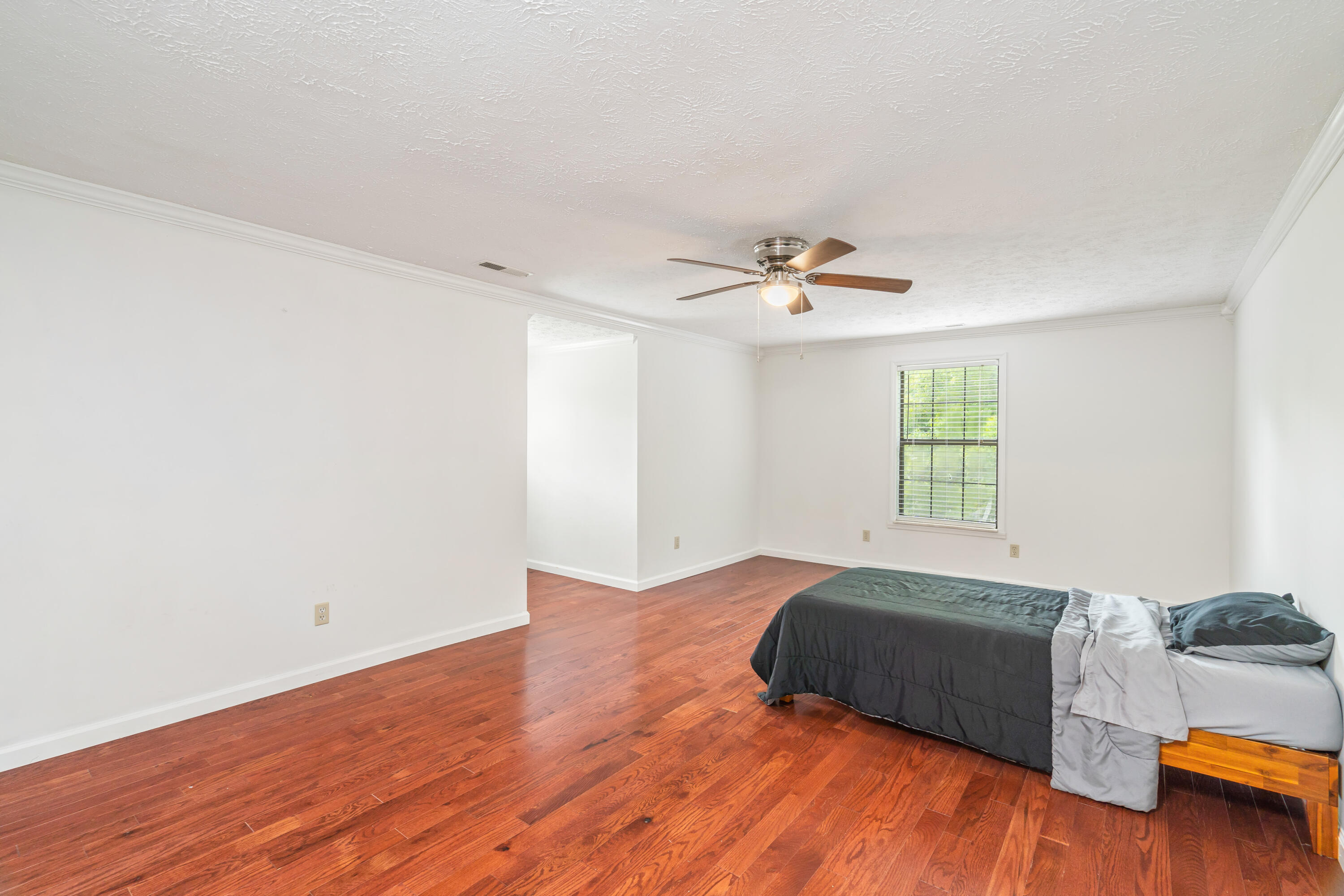 4118 Idumea Road Corryton, TN 37721 - Photo 36 of 52 4118 Idumea Road-39