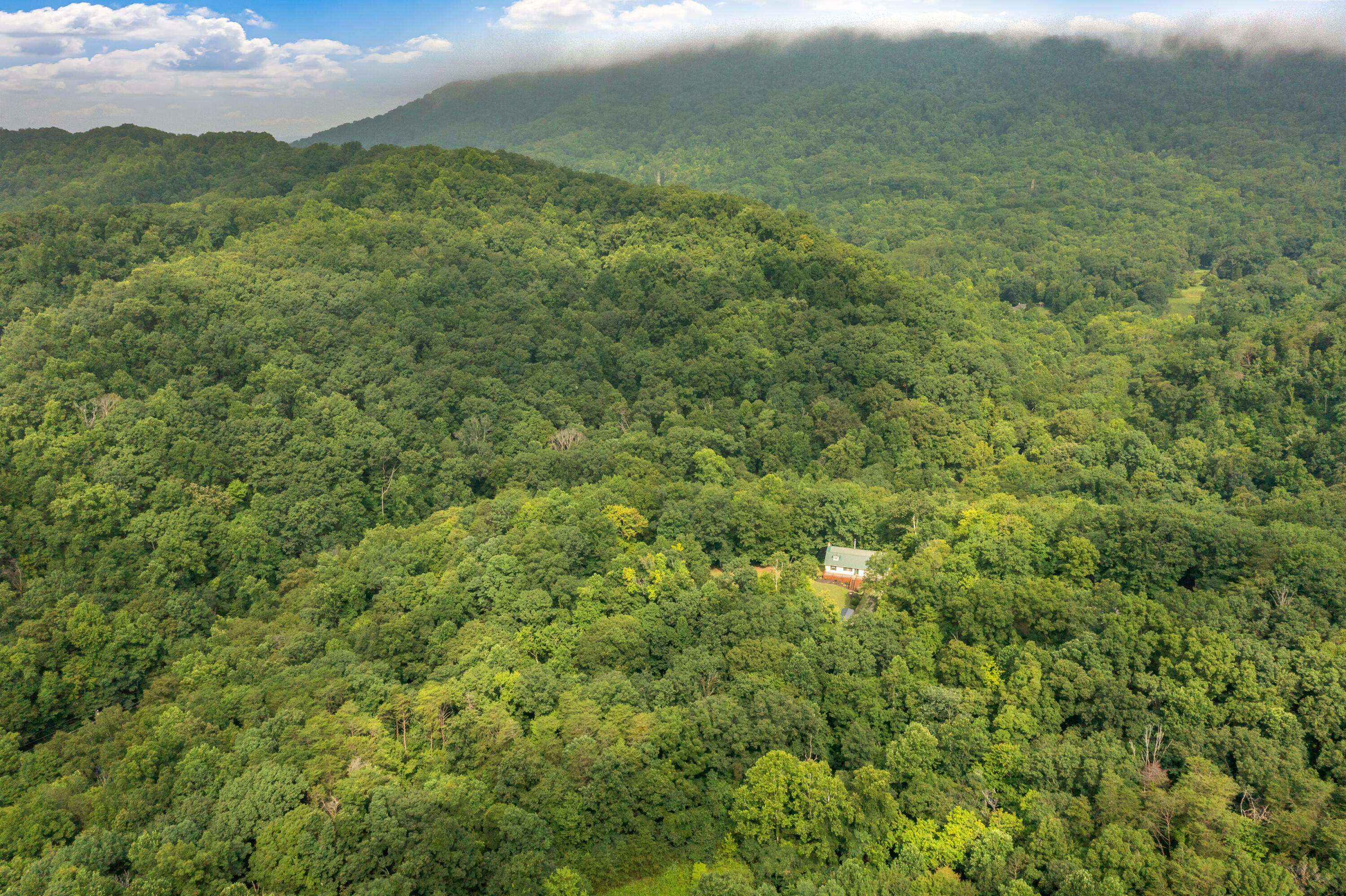 4118 Idumea Road Corryton, TN 37721 - Photo 49 of 52 4118 Idumea Road-53