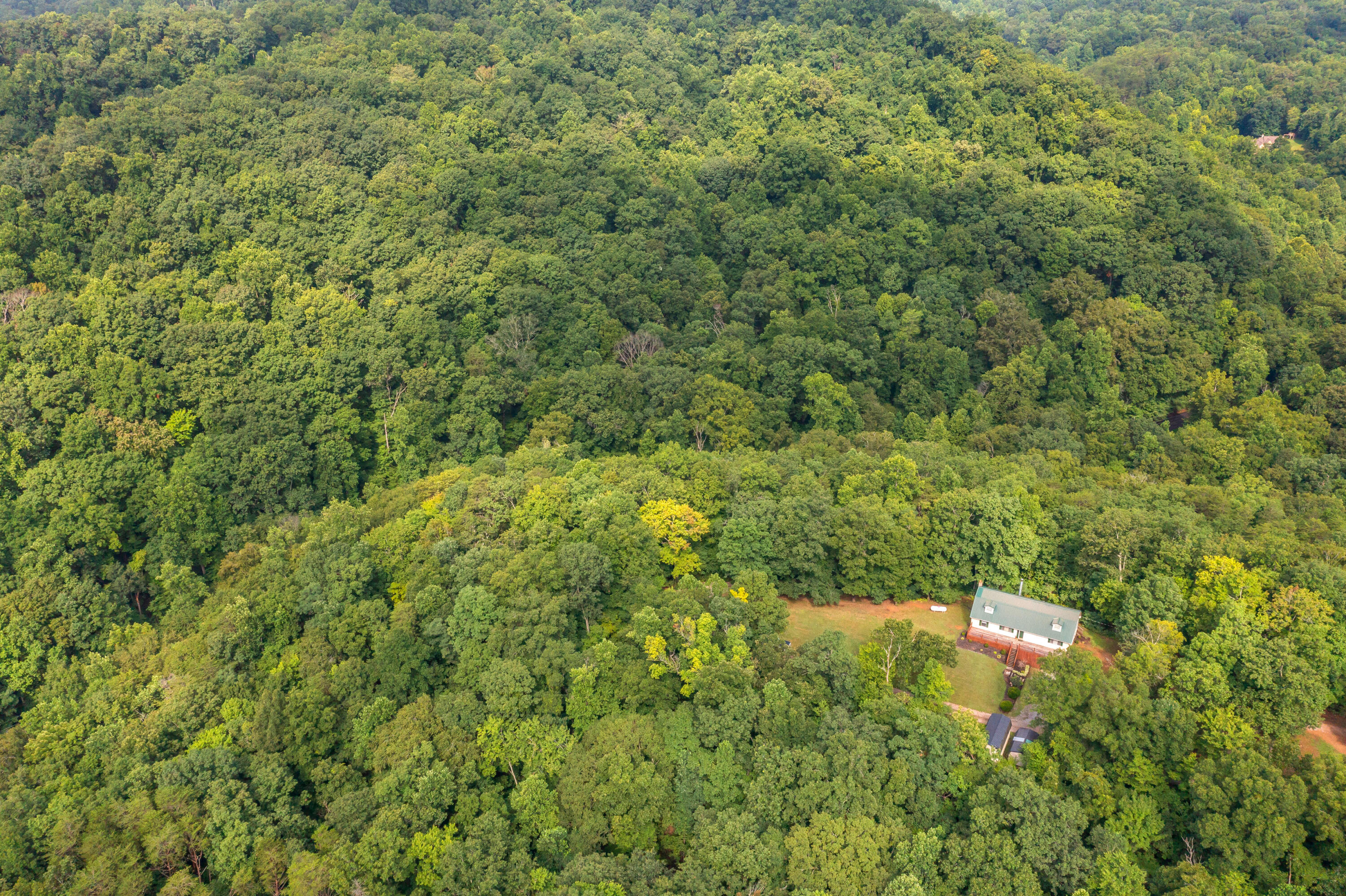 4118 Idumea Road Corryton, TN 37721 - Photo 50 of 52 4118 Idumea Road-54