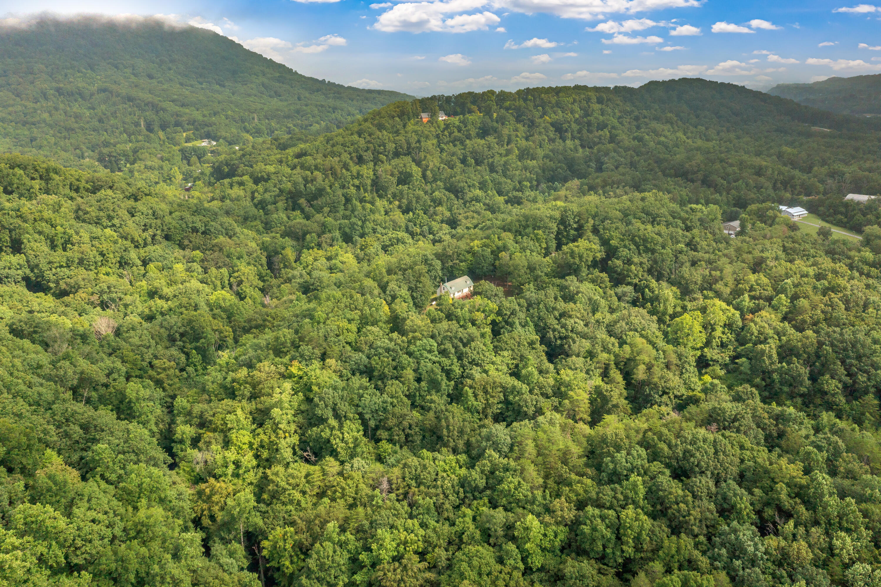 4118 Idumea Road Corryton, TN 37721 - Photo 6 of 52 4118 Idumea Road-50