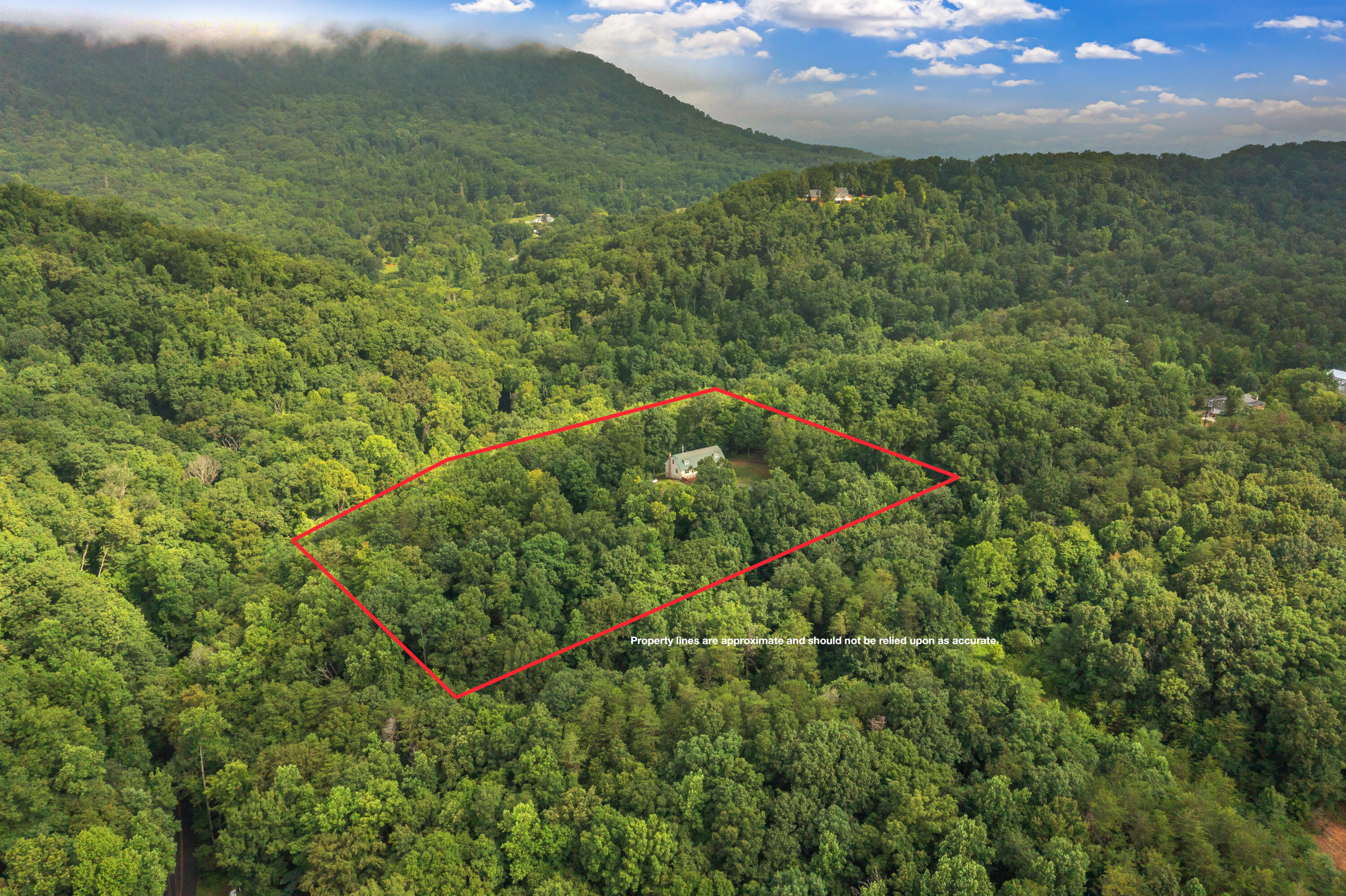 4118 Idumea Road Corryton, TN 37721 - Photo 7 of 52 4118 Idumea Road-51-1