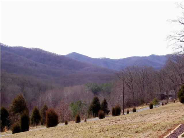 514 Rainbow Ridge Road Faber, VA 22938 - Photo 4 of 8 a view of a backyard of a house